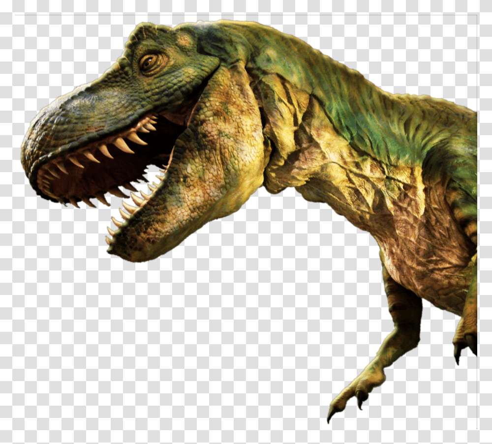 Cropped Dinohead, Fantasy, T-Rex, Dinosaur, Reptile Transparent Png