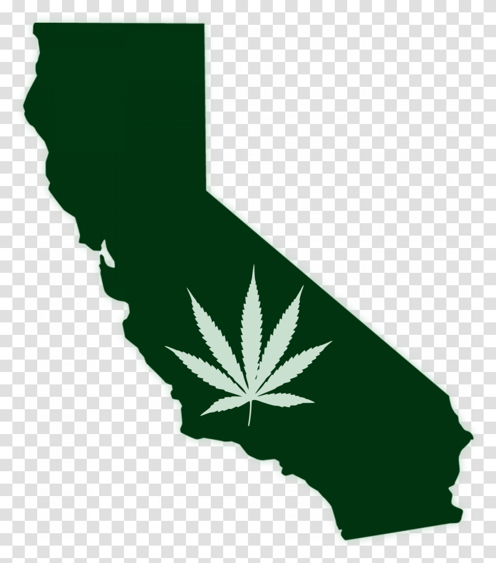 Cropped Dispense Hemp Logo California Red And Blue Map, Leaf, Plant, Rug, Green Transparent Png