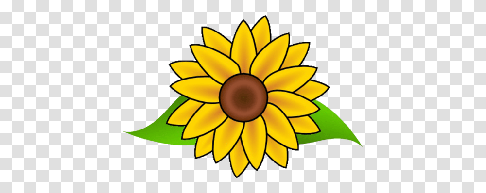Cropped Easy Drawing Of A Sunflower, Plant, Blossom, Lamp, Leaf Transparent Png