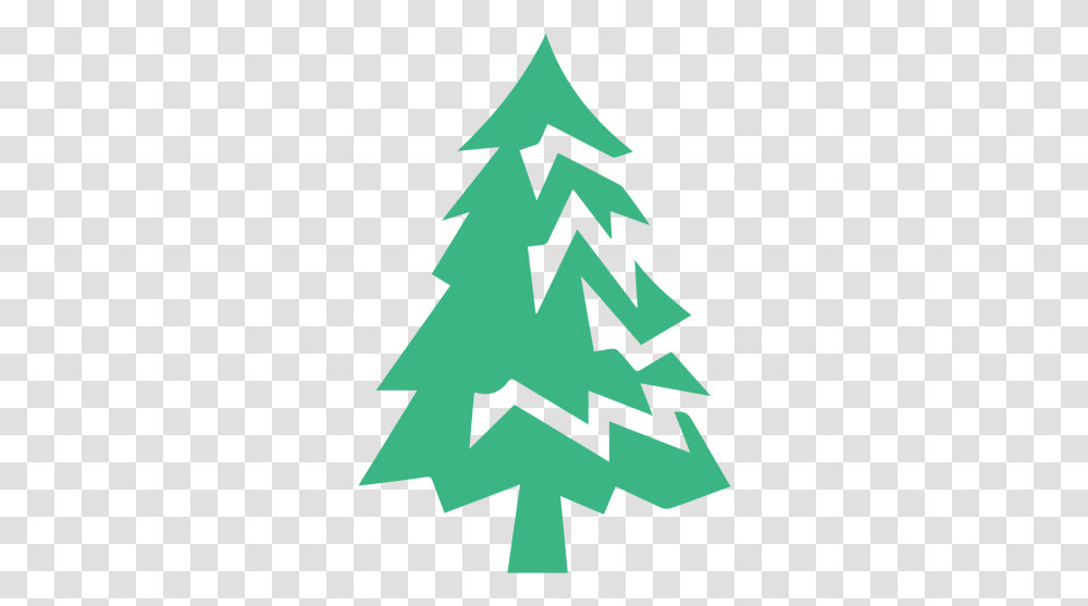 Cropped Edlogo4logosplashpng - Edlaw New England Pllc Boreal Conifer, Tree, Plant, Ornament, Christmas Tree Transparent Png