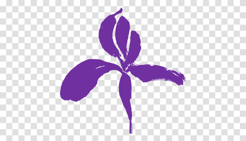Cropped Girly, Iris, Flower, Plant, Blossom Transparent Png