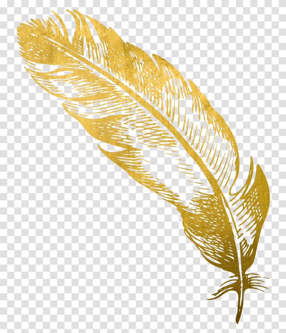 Cropped Goldfeatherpng Card Snobs Gold Feather, Leaf, Plant, Bird, Animal Transparent Png