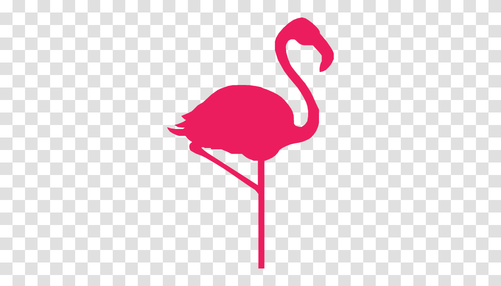 Cropped Hello Flamingo Icon Hello Flamingo, Animal, Bird, Dynamite, Bomb Transparent Png