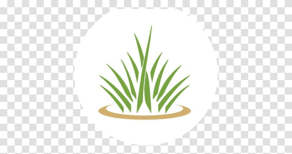 Cropped Hlogopngpng Halo Lawn Care Circle, Plant, Pineapple, Food, Vase Transparent Png