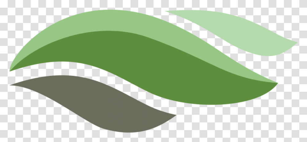 Cropped Horizontal, Plant, Hat, Clothing, Seed Transparent Png