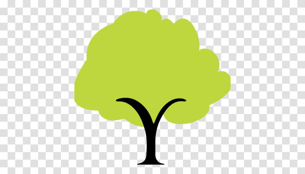 Cropped Hpl Tree, Tennis Ball, Sport, Sports, Leaf Transparent Png