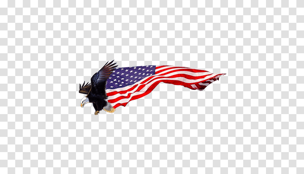 Cropped Icon Fulton Memorial Day Salute, Flag, Bird, Animal Transparent Png