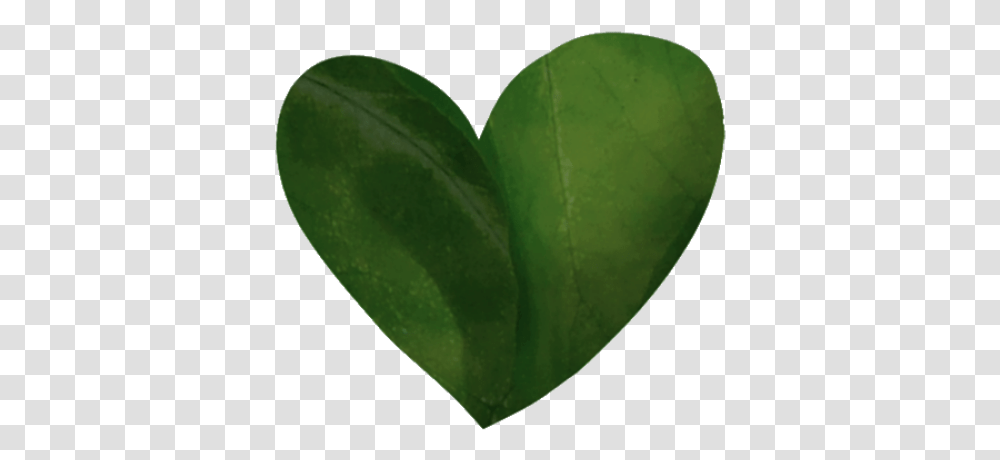 Cropped Icon2png Gwalia Farm Heart, Leaf, Plant, Tennis Ball, Sport Transparent Png