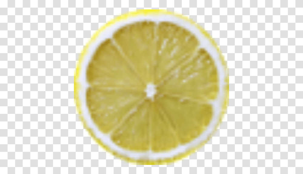Cropped Key Lime, Citrus Fruit, Plant, Food, Lemon Transparent Png