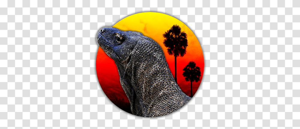 Cropped Komodo Dragon, Animal, Reptile, Fish, Lizard Transparent Png