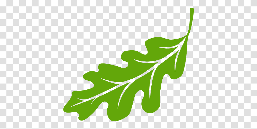 Cropped Leaflogo512512png - Oak Leaf Promotions Clip Art, Plant, Produce, Food, Vegetable Transparent Png