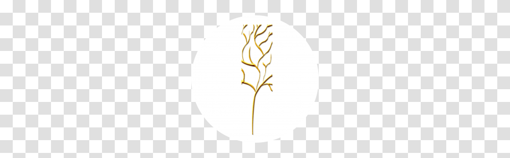 Cropped Ledame Logo Tree, Tennis Ball, Sport, Sports Transparent Png