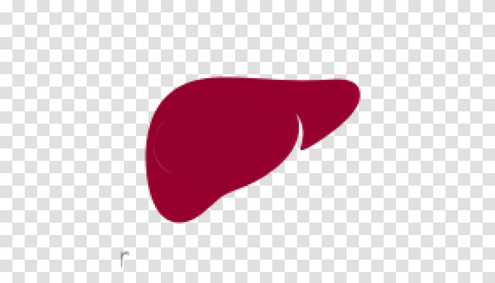 Cropped Liver Favicon, Balloon, Plant, Mouth, Food Transparent Png