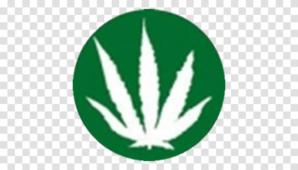 Cropped Norml Leaf Norml New Zealand, Logo, Trademark, Plant Transparent Png