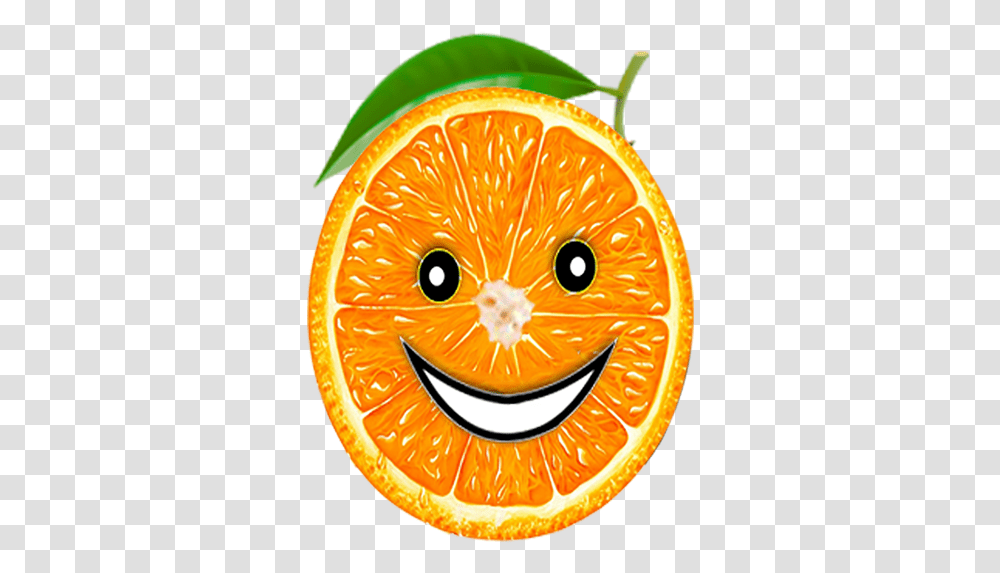 Cropped Orangelogopng - Orange Weave Orange Slice, Citrus Fruit, Plant, Food, Grapefruit Transparent Png