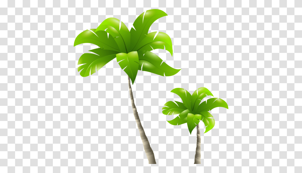 Cropped Palm Tree Tropical Palms, Plant, Leaf, Arecaceae, Flower Transparent Png