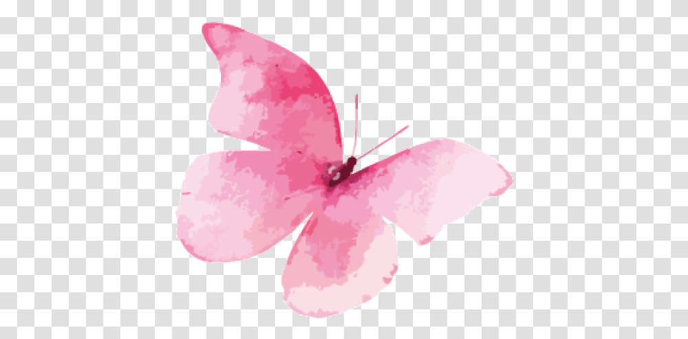 Cropped Pink Watercolor Butterfly, Plant, Petal, Flower, Blossom Transparent Png