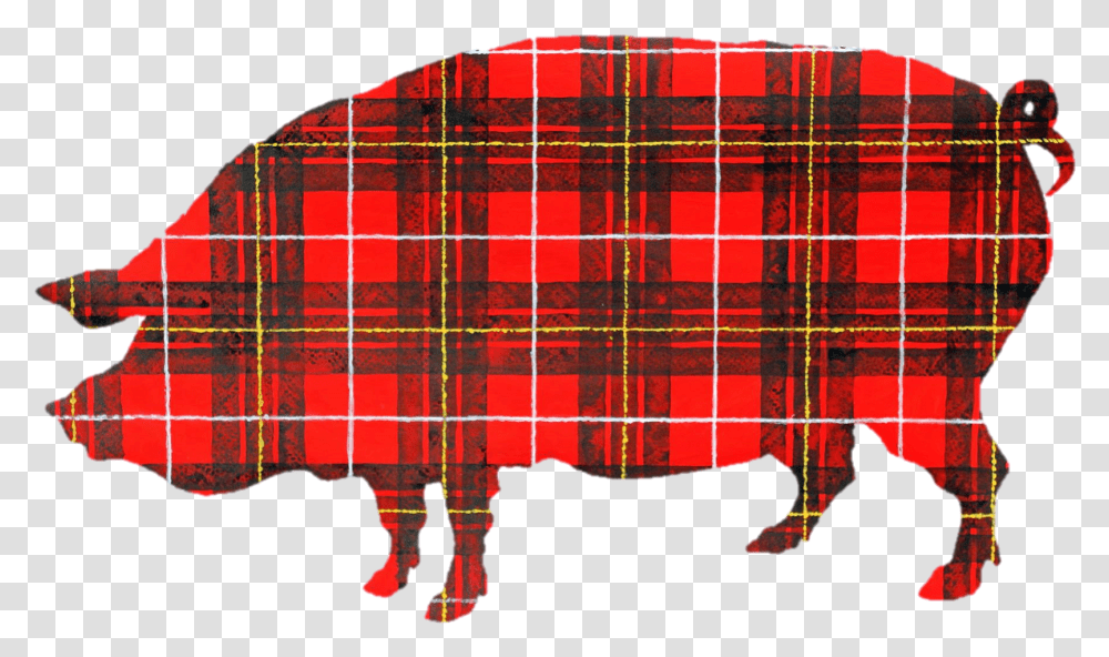 Cropped Ppprlogo512x512nobackgroundpng Plaid Pig Pig In Tartan, Person, Human, Kilt, Skirt Transparent Png
