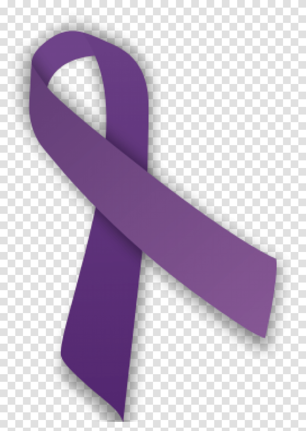 Cropped Purple Ribbon Tummywoes, Sash, Tie, Accessories, Accessory Transparent Png