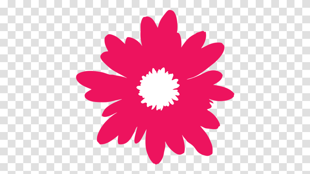 Cropped Redflowerfavicon550png Illustration, Plant, Petal, Blossom, Daisy Transparent Png