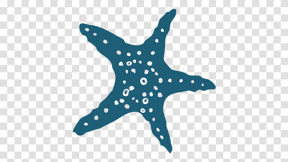 Cropped Seastar1e5d7608png - Massage Therapy By Dana Starfish, Invertebrate, Sea Life, Animal, Shark Transparent Png