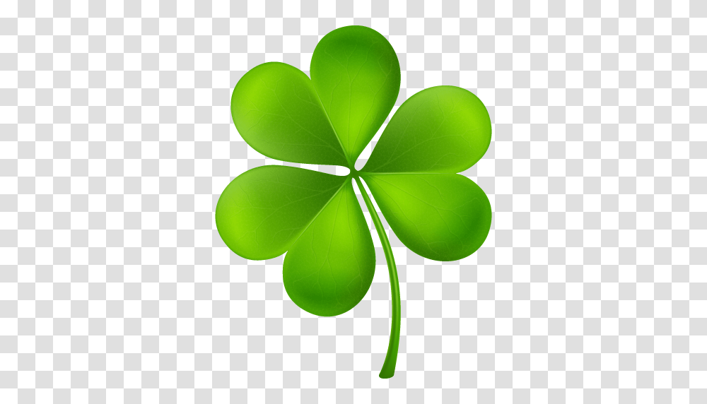 Cropped Shamrock My Dublin Vacation, Green, Leaf, Plant Transparent Png