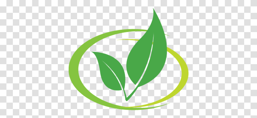 Cropped Siteiconpng Language, Plant, Leaf, Vegetable, Food Transparent Png