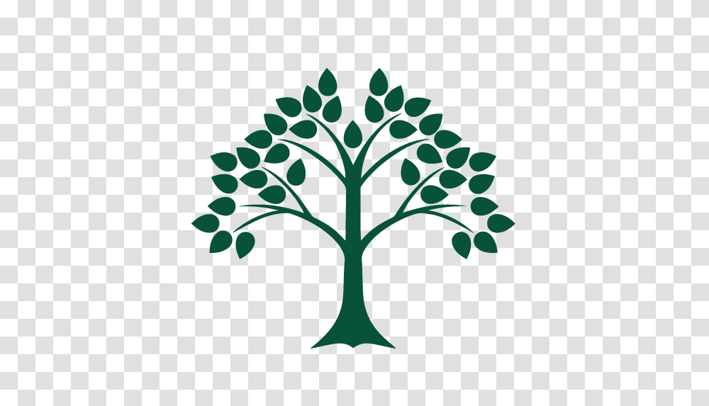 Cropped Splash Edlaw New England Pllc, Plant, Tree, Green, Painting Transparent Png