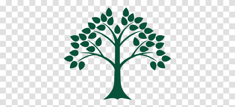 Cropped Splashpng - Edlaw New England Pllc Tree Of The Knowledge Of Good And Evil, Plant, Silhouette, Green, Pattern Transparent Png