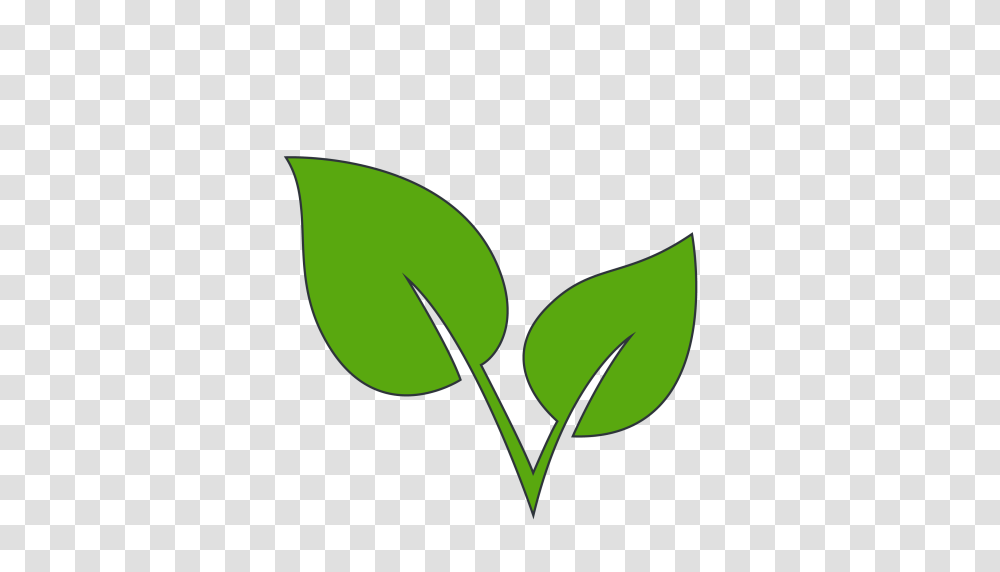 Cropped Ssb Logo Student Sustainability, Green, Leaf, Plant, Flower Transparent Png