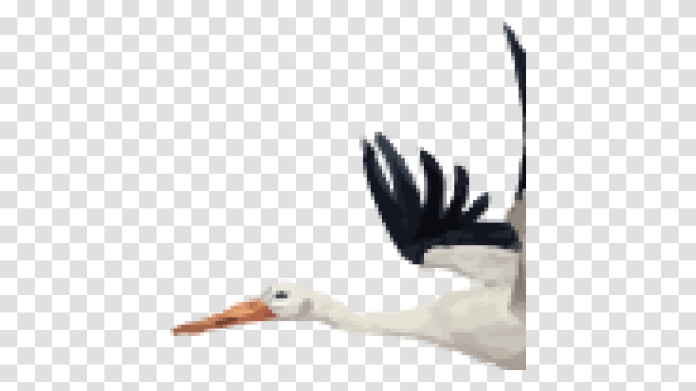 Cropped Stork, Bird, Animal, Flying, Eagle Transparent Png