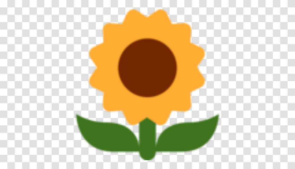 Cropped Sunflower Emoji Twitter, Plant, Outdoors, Blossom, Food Transparent Png