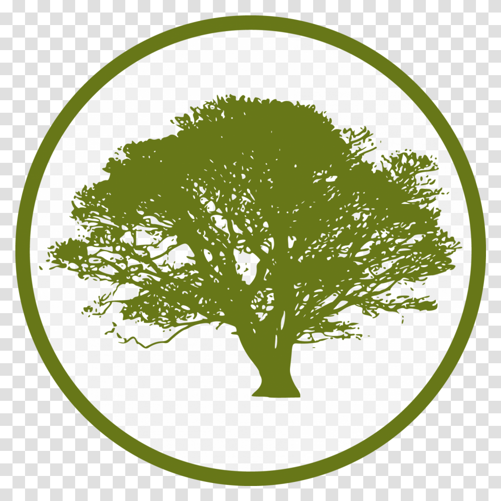 Cropped Tree Icon, Plant, Leaf, Moon, Outer Space Transparent Png