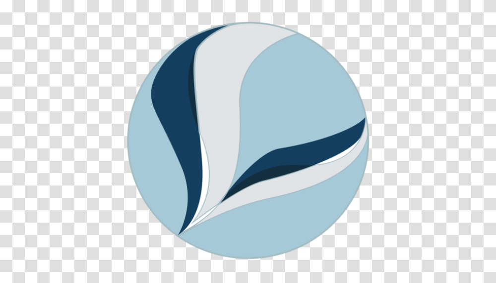 Cropped Vanish Favicon Real Vanish Veins, Sphere, Tape, Bathing Cap Transparent Png