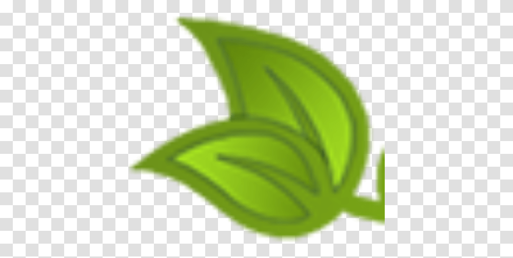 Cropped Vertical, Green, Plant, Leaf, Vegetation Transparent Png