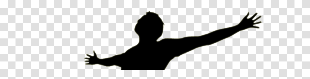 Cropped Worship Man The Captive Project, Silhouette, Back, Bird, Animal Transparent Png