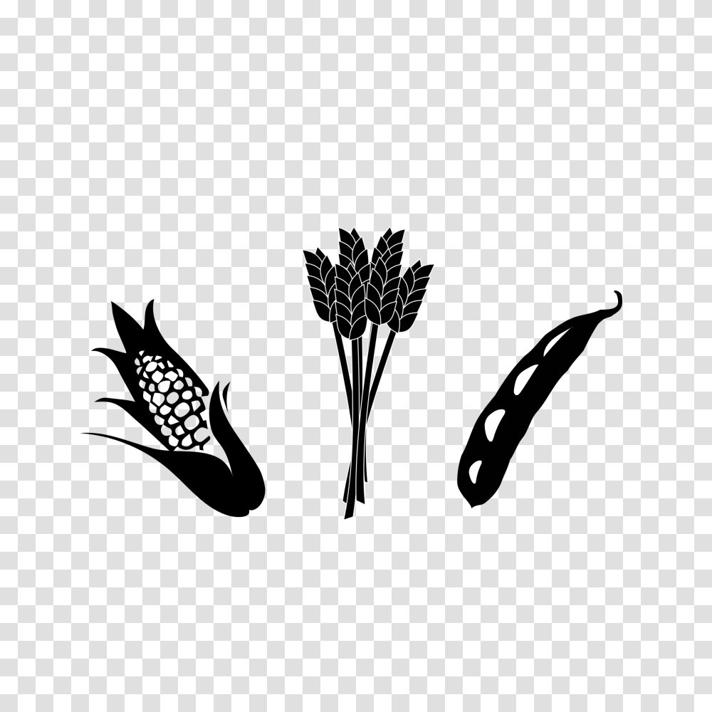 Crops, Cross, Plant, Flower Transparent Png