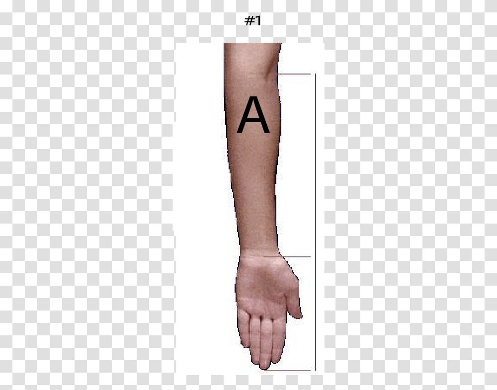 Cross, Ankle, Heel, Thigh Transparent Png