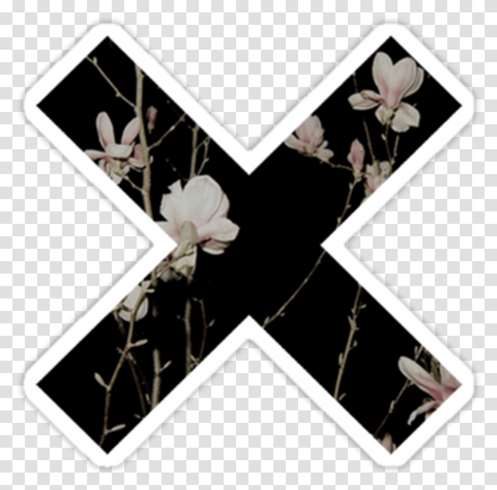 Cross Overlay X Edit Tumblr Flower Munloit, Cushion Transparent Png