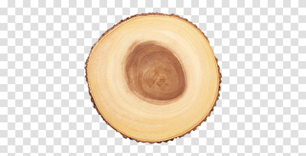 Cross Section Of Tree Trunk Stickpng Cross Section Tree Trunk, Wood, Bowl, Tree Stump, Tape Transparent Png