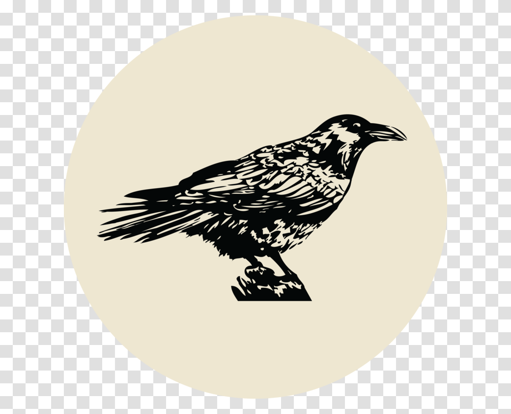 Crossed Drumsticks Clipart Illustration, Bird, Animal, Blackbird, Agelaius Transparent Png