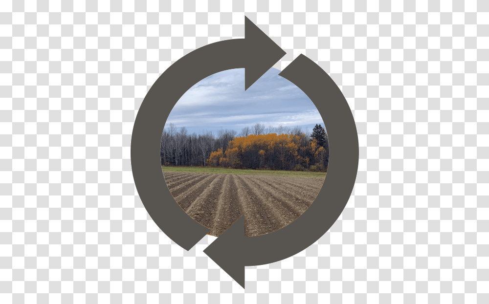 Crossed Out Circle, Axe, Tree, Plant, Outdoors Transparent Png