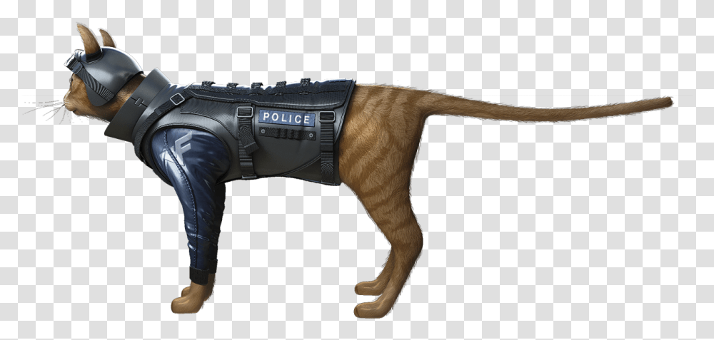 Crossfire Wiki Cat, Person, Human, Animal, Dinosaur Transparent Png