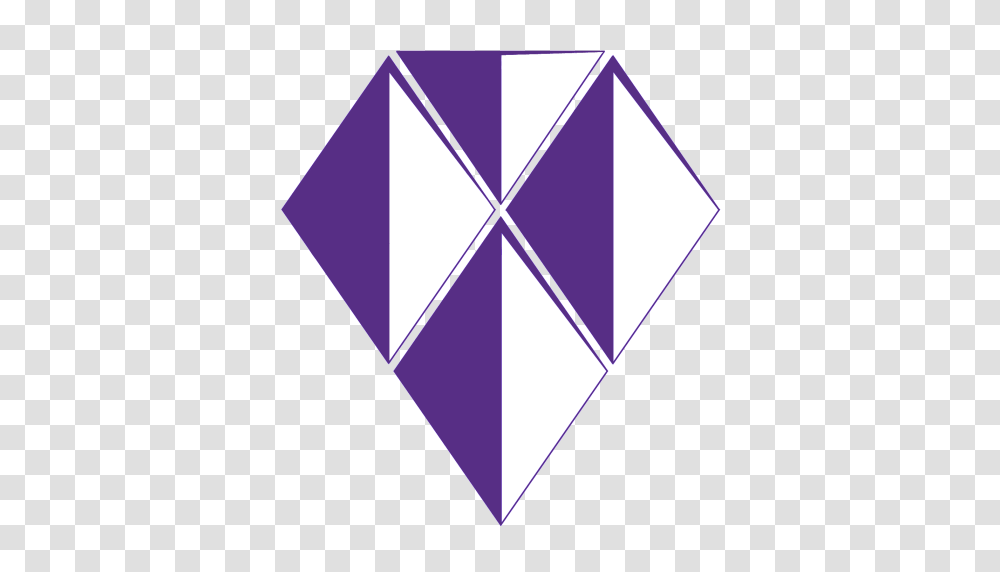 Crossfit Amethyst Strength Conditioning Endurance Community Fitness, Toy, Kite Transparent Png