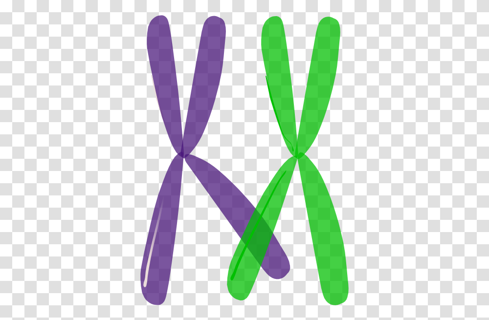 Crossing Over 1 Clip Art Chromosome, Pattern, Triangle, Text, Symbol Transparent Png