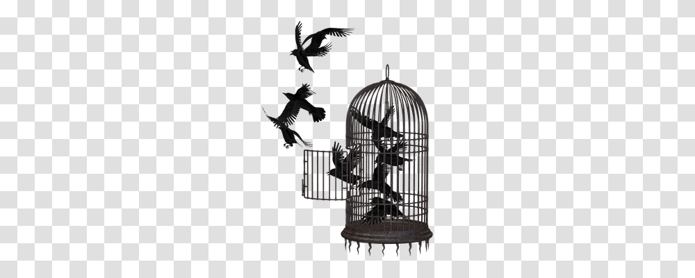 Crow Animals, Gate, Chime, Musical Instrument Transparent Png