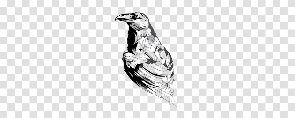 Crow Nature, Performer, Tree, Plant Transparent Png