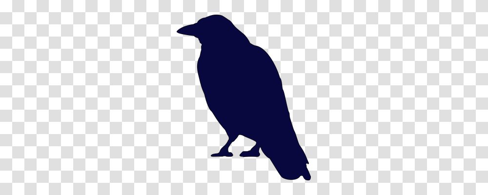Crow Animals, Bird, Silhouette, Person Transparent Png