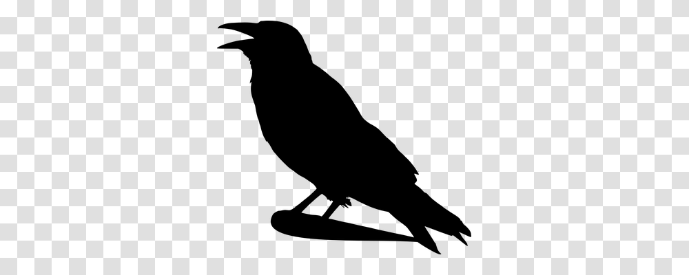 Crow Emotion, Gray, World Of Warcraft Transparent Png