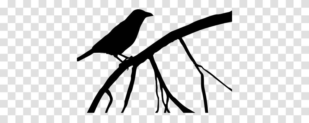Crow Nature, Outdoors, Silhouette, Night Transparent Png